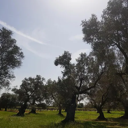 Appartamento A Casa Di Emy By World